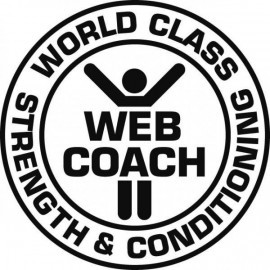 www.webcoach.se pt online