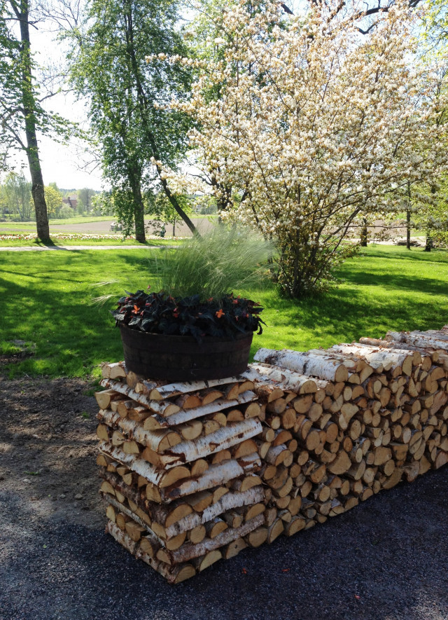 Slottsmuren av björkved, Wij Trädgårdar